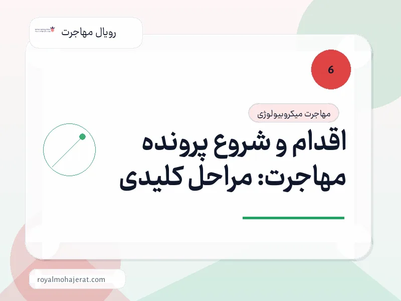 اقدام و شروع پرونده مهاجرت: مراحل کلیدی